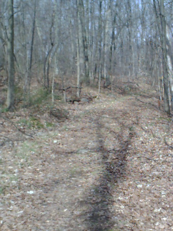 ram-ring-trail-4-20-03.jpg