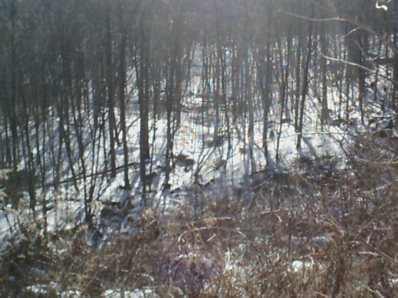 ring-trail-panorama-jan2003.jpg