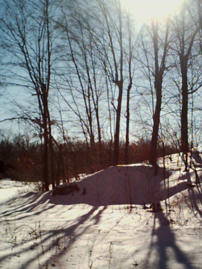 ring-trail-sunshadows-jan2003.jpg