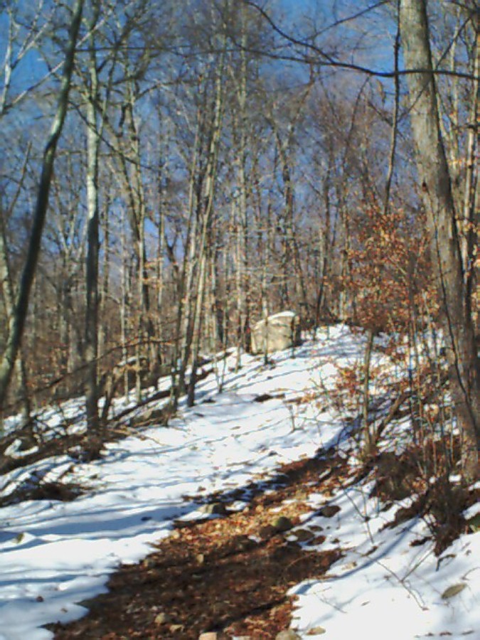 ring-trail-uphill-jan-2003.jpg