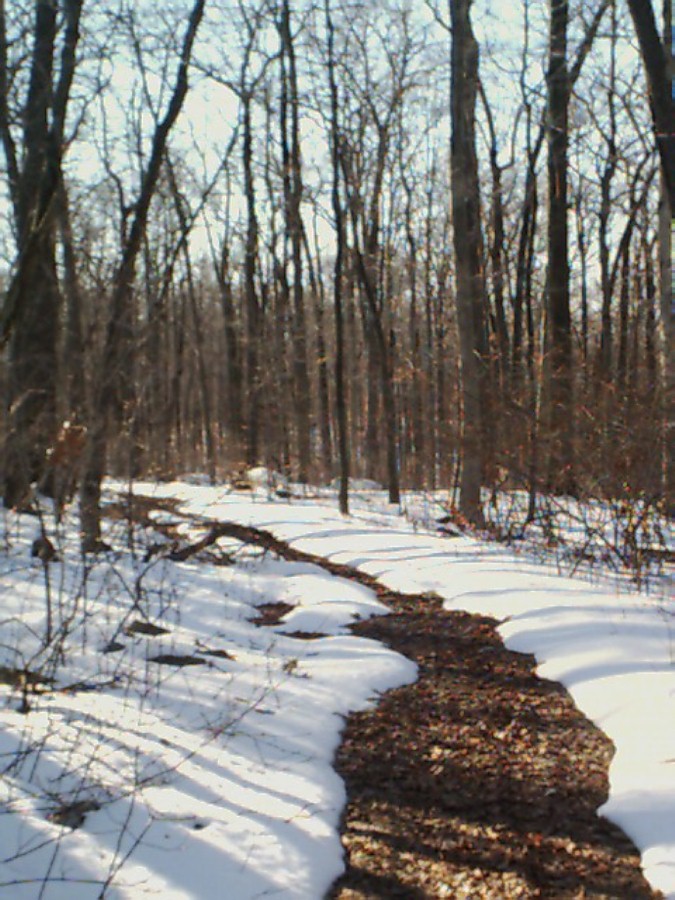ring-trail4-jan-2003.jpg